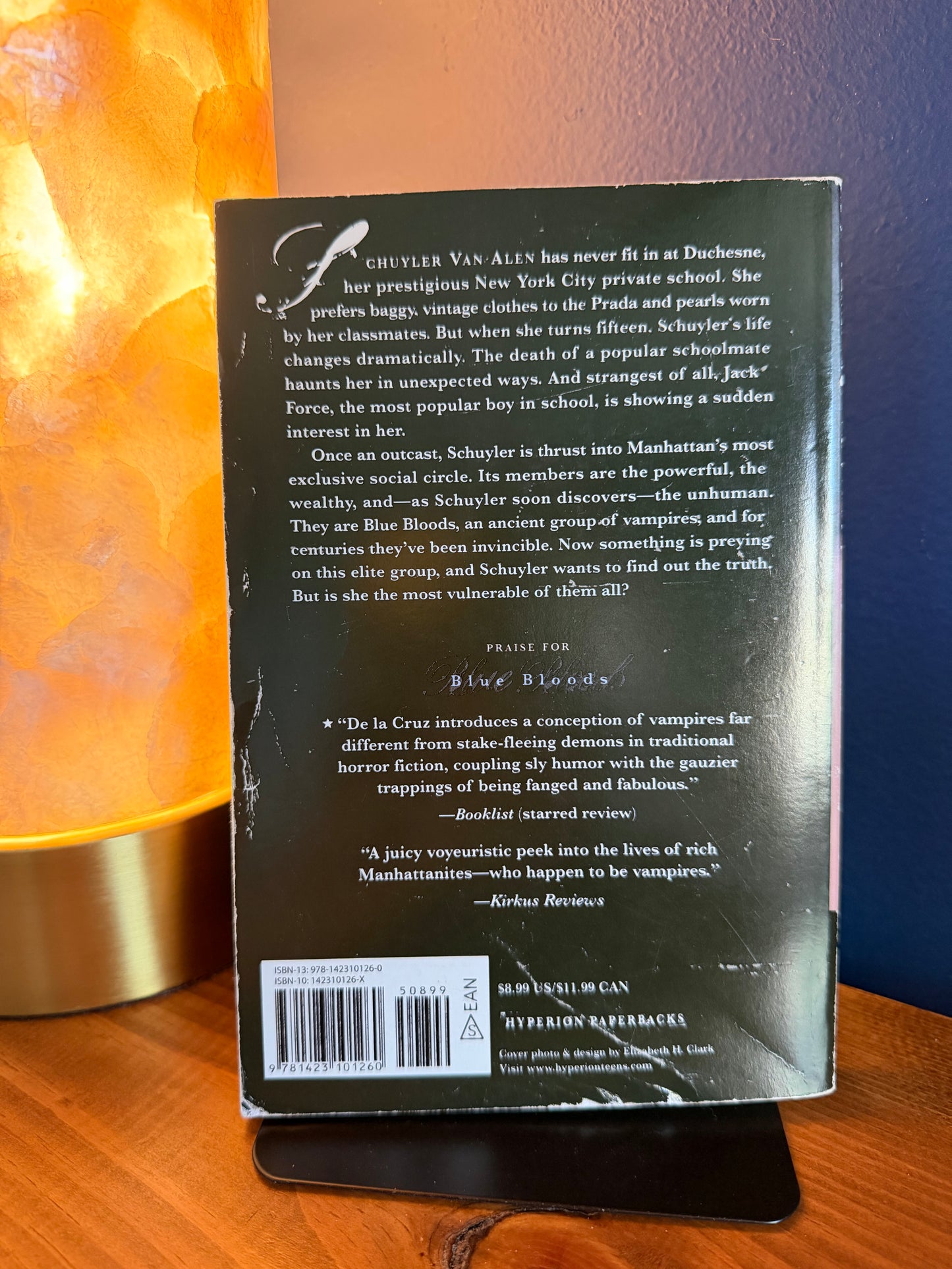 Back cover of a book with text and a bar code, placed on a wooden surface with a warm light source.