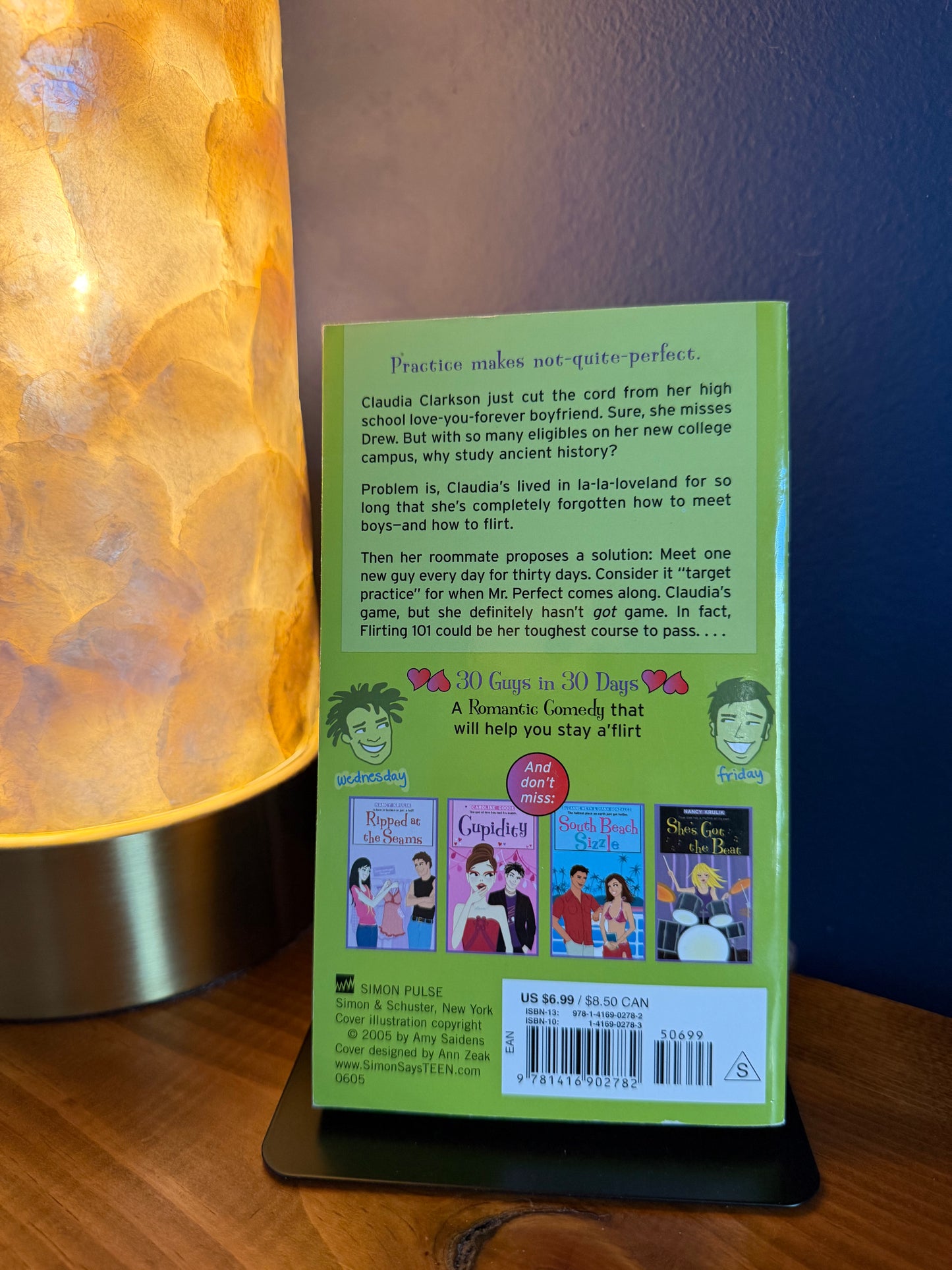 Book back cover on a wooden surface with a lamp in the background