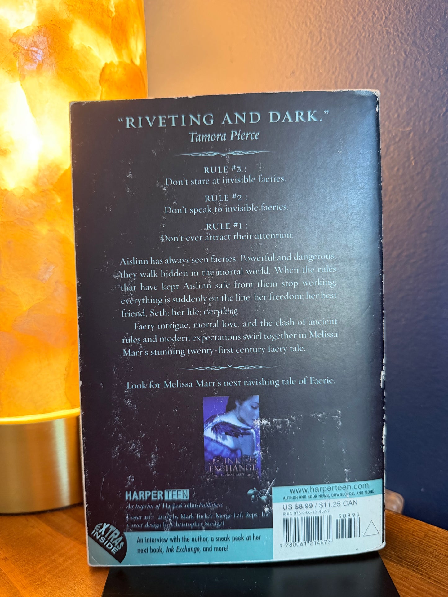 Back cover of a book with text and a small image on a wooden surface.