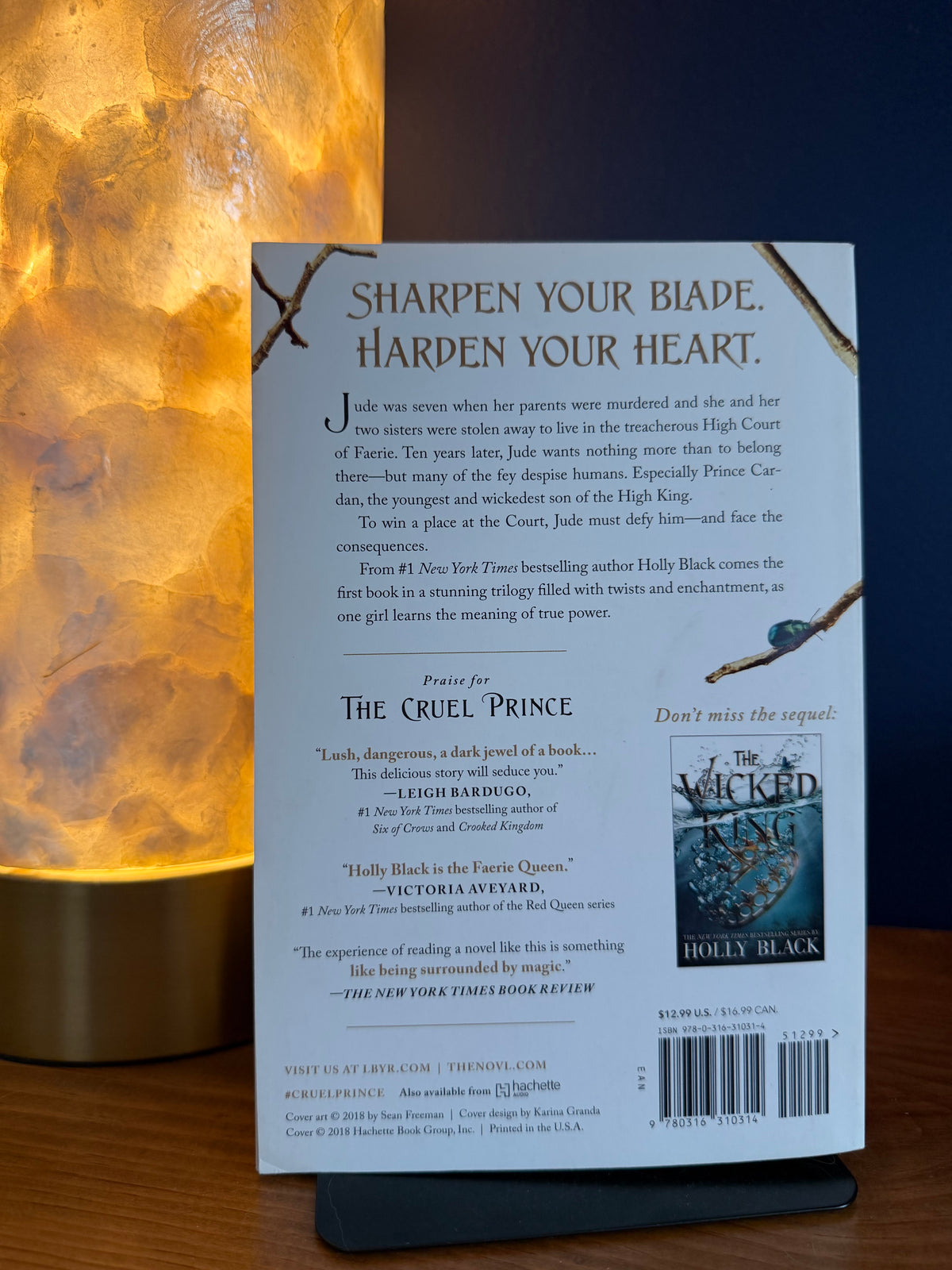 Book back cover with text and a barcode on a wooden surface with a warm light source.