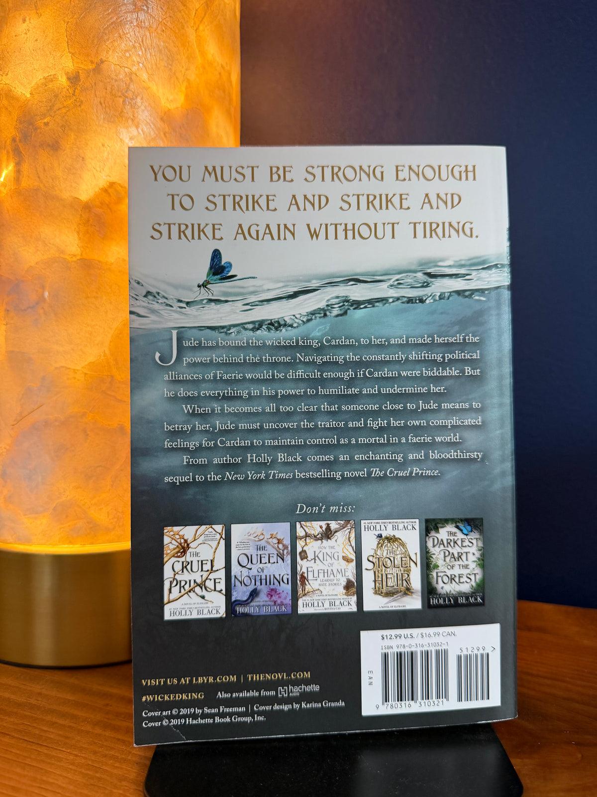 Back cover of a book with text and images of other books on a wooden surface with a lamp in the background.