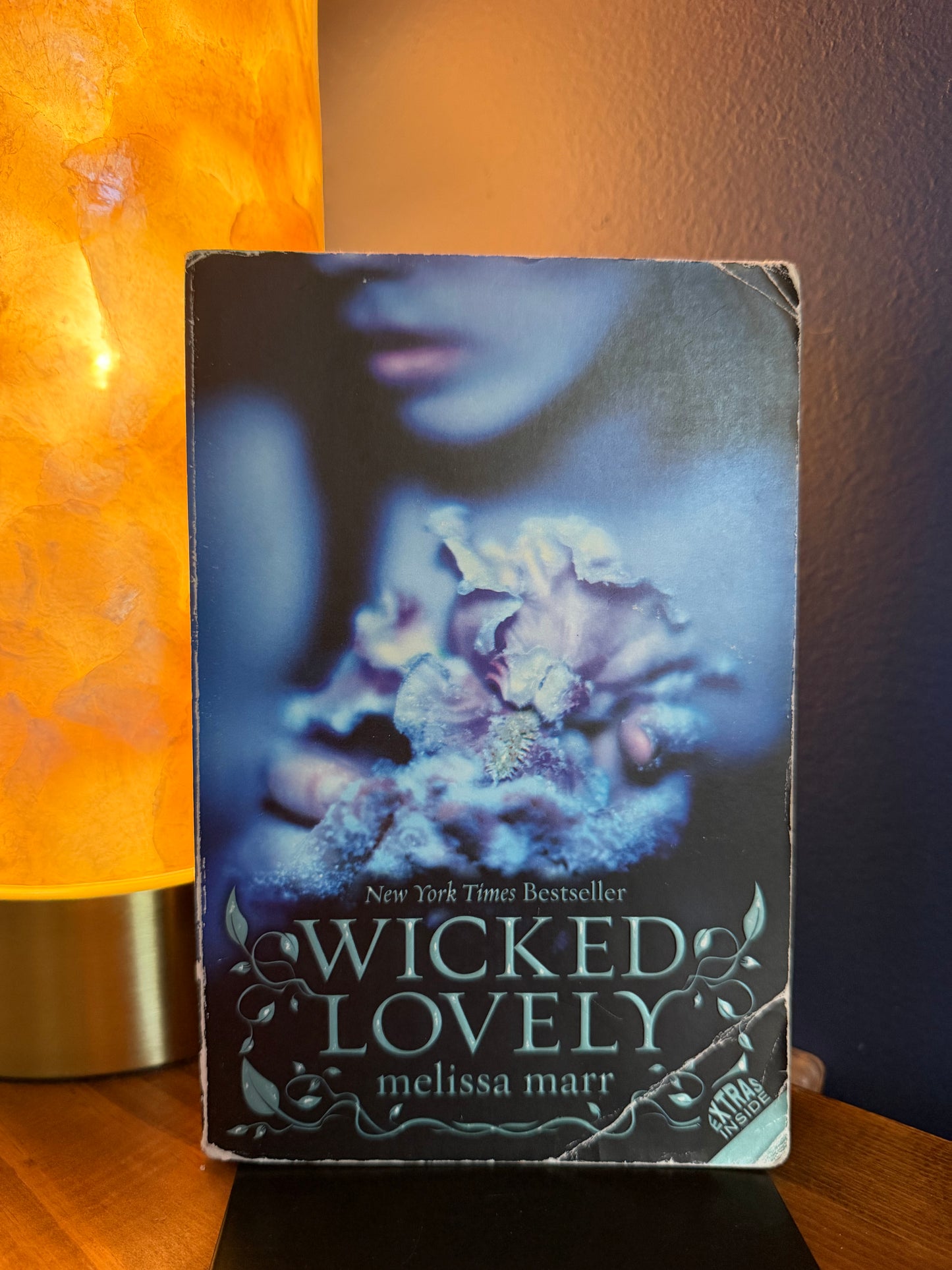Wicked Lovely